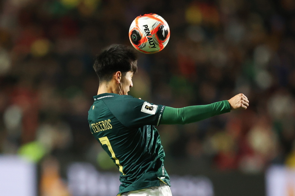 zYAA, Ghv, 进行的 zYAA, Ghv, 进行的