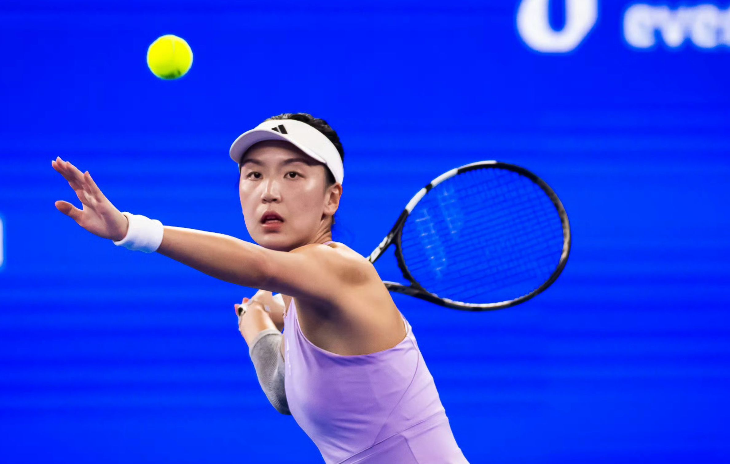 世界排名已, ezrb 世界排名已, ezrb